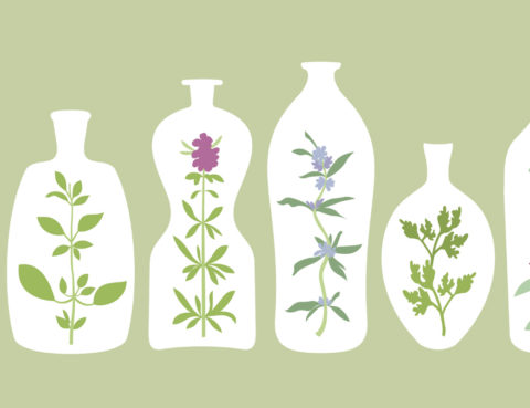 Ilustração de plantas em quatro vasos diferentes.