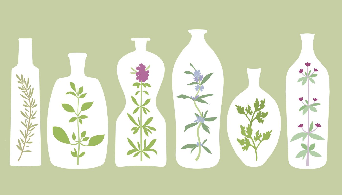 Ilustração de plantas em quatro vasos diferentes.